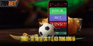 789BET - Tất Tần Tật Các Tỷ Lệ Kèo Trong Bóng Đá
