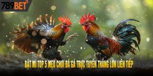 Bật Mí Top 5 Mẹo Chơi Đá Gà Trực Tuyến Thắng Lớn Liên Tiếp