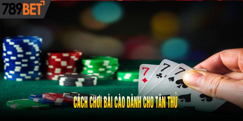 Bài Cào là gì? Hướng dẫn cách chơi và luật chơi mới nhất 2025